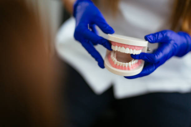 Best Dental Exams and Cleanings  in Lebanon, PA